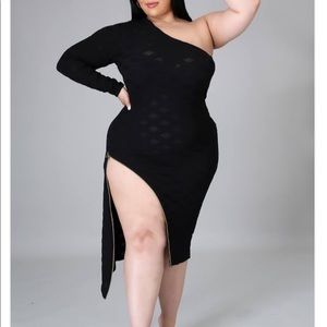 ⭐️Host Pick⭐️ Plus Size Mesh Dress W/ Functional Zipper